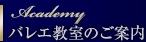 �o���G�����̂��ē� Academy